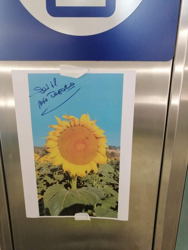 Messaggi d'amore e girasoli spuntano all'interno della stazione Vasto-San Salvo 