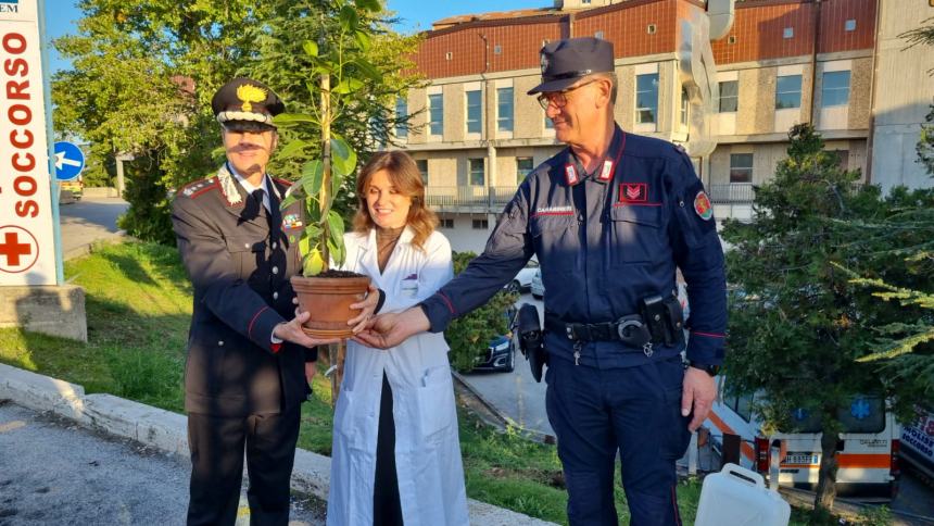 "Un albero per la salute" all'ospedale Cardarelli 