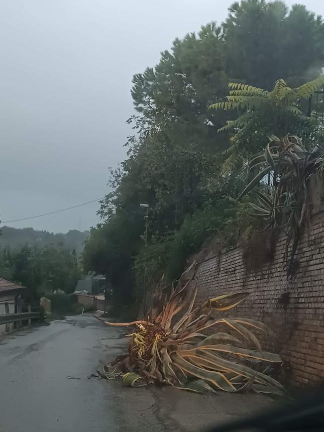 Maltempo, allagamenti a Fossacesia marina e strade chiuse