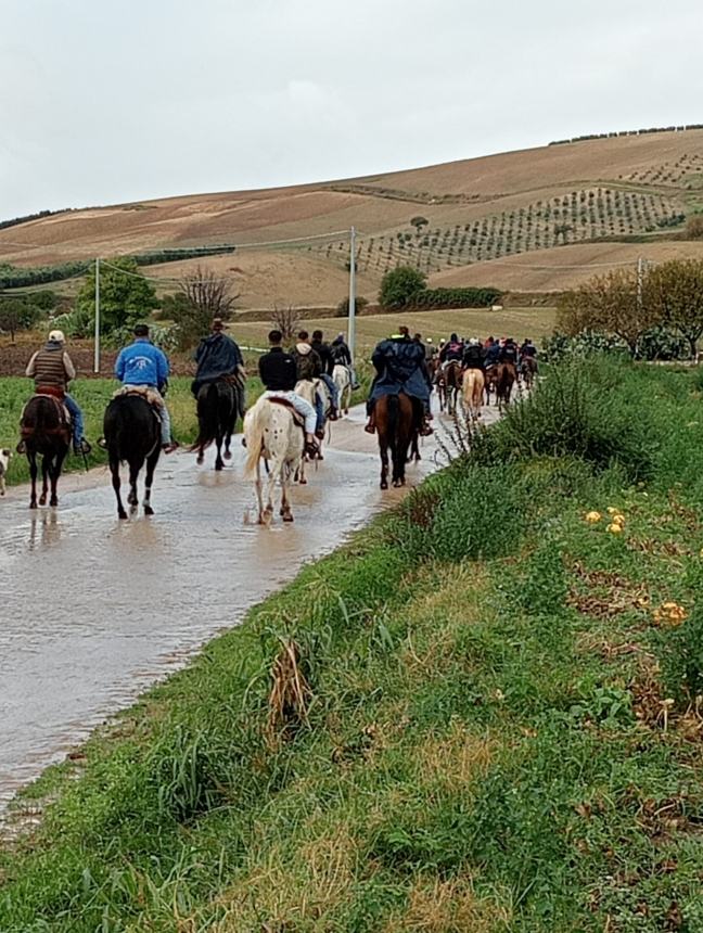 Una passeggiata a cavallo che ricrea il connubio magico con la natura