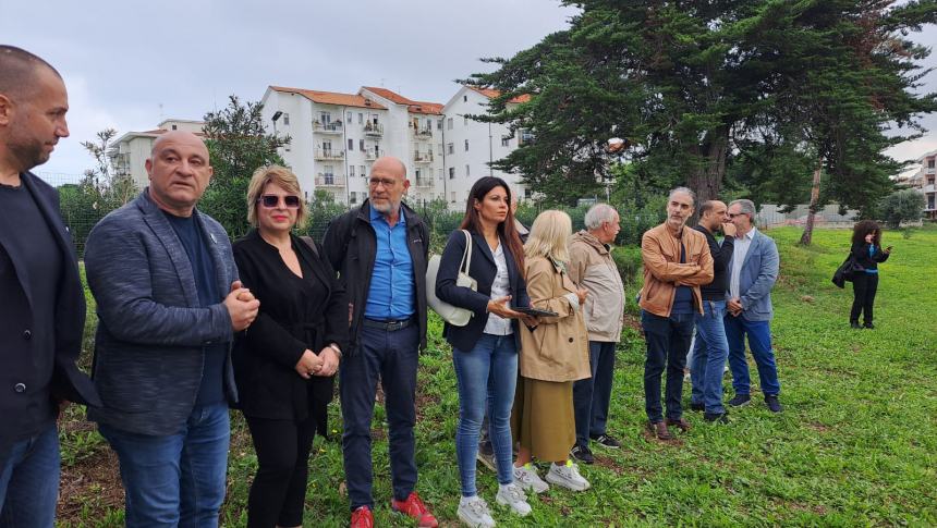 Camminata tra gli olivi 