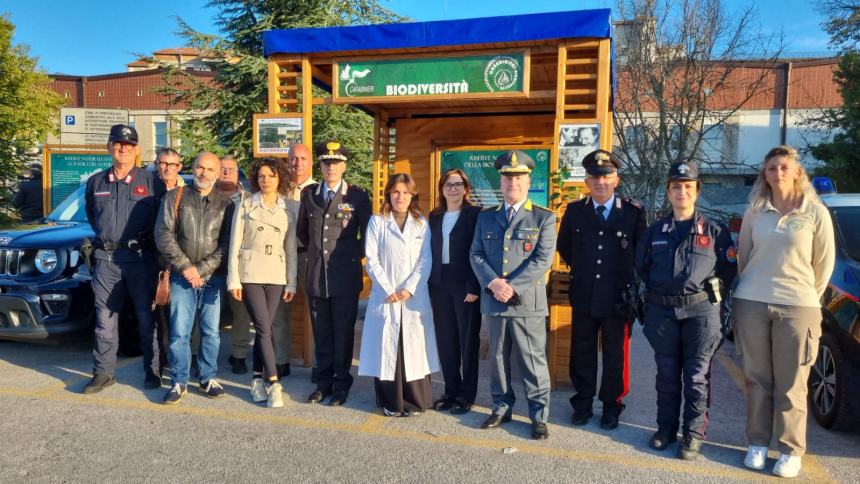 "Un albero per la salute" all'ospedale Cardarelli 