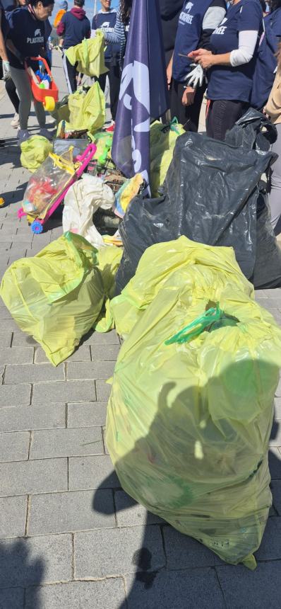 Bottino da 100 chili di rifiuti: 32 volontari Plastic Free puliscono San Salvo Marina