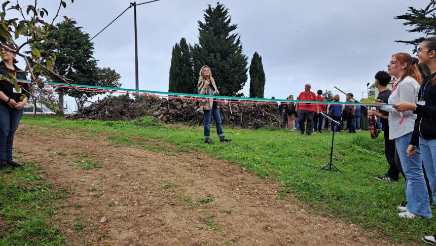 Camminata tra gli olivi 