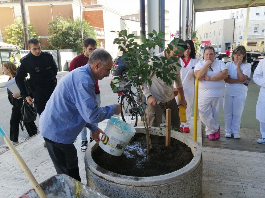 L'albero della salute donato al San Pio: “Ce ne prenderemo cura come con i nostri pazienti”