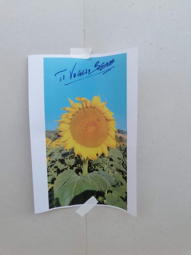 Messaggi d'amore e girasoli spuntano all'interno della stazione Vasto-San Salvo 