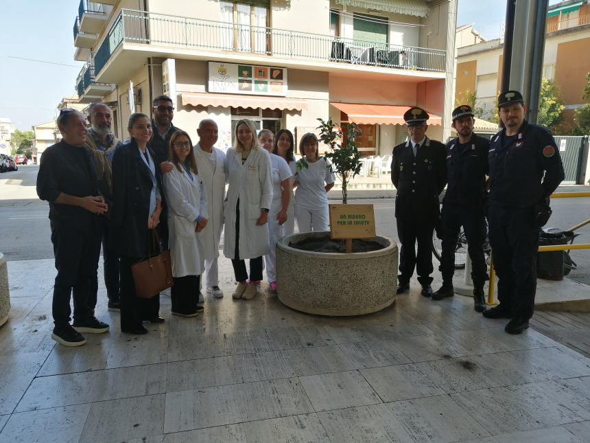 L'albero della salute donato al San Pio: “Ce ne prenderemo cura come con i nostri pazienti”