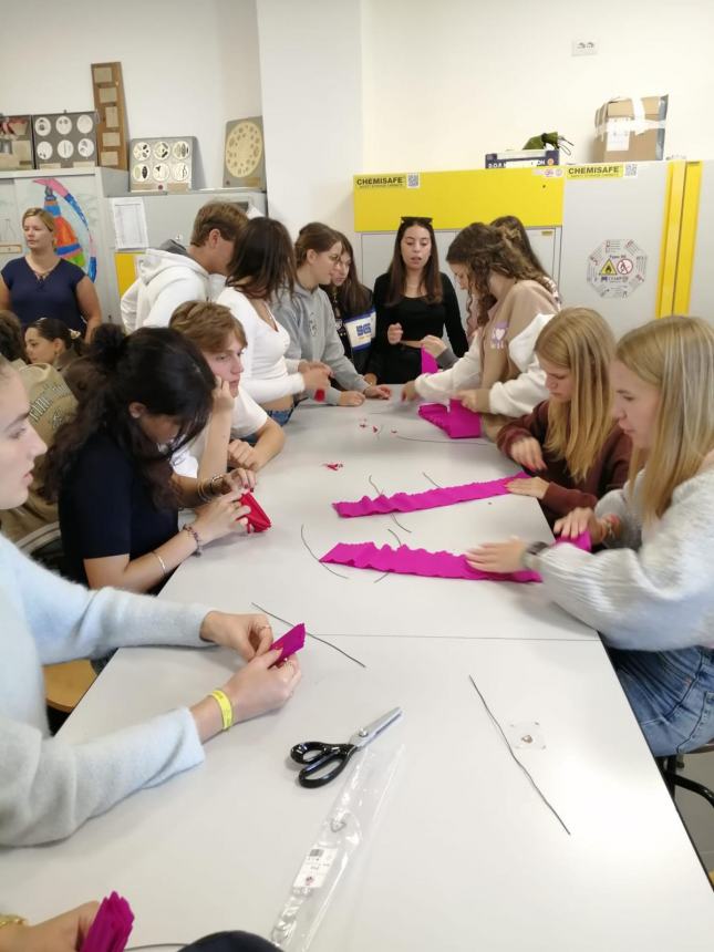 Settimana Erasmus al liceo d'Ovidio, accolti 15 studenti tedeschi