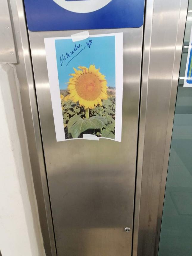 Messaggi d'amore e girasoli spuntano all'interno della stazione Vasto-San Salvo 