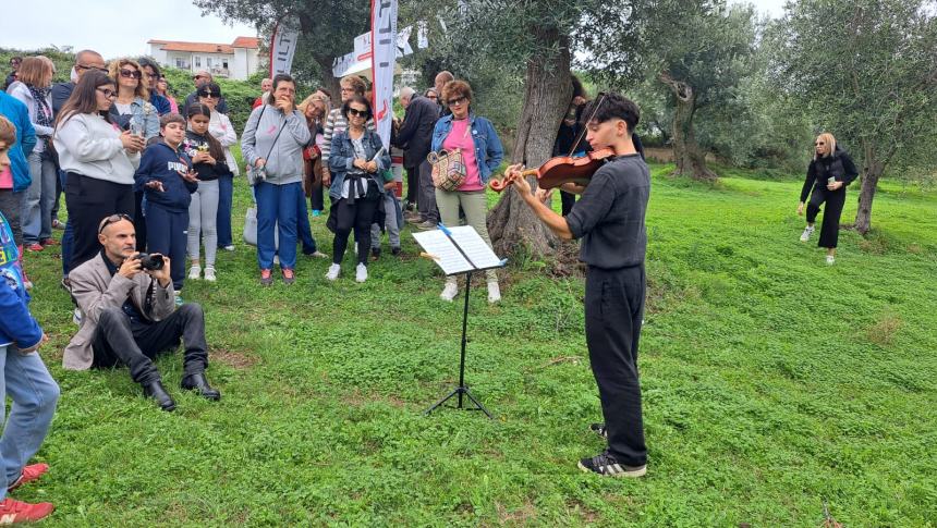 Camminata tra gli olivi 