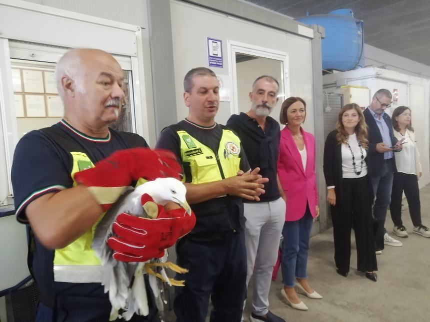 Studenti vastesi: visita con sorpresa al quartier generale della protezione civile