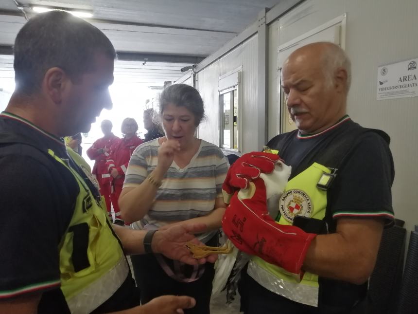 Studenti vastesi: visita con sorpresa al quartier generale della protezione civile