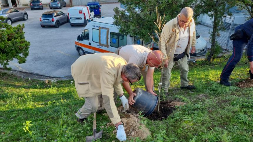 "Un albero per la salute" all'ospedale Cardarelli 