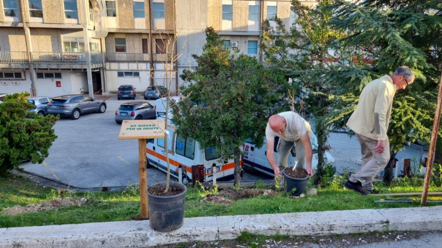 "Un albero per la salute" all'ospedale Cardarelli 