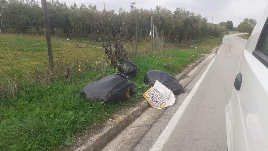 Incivili in azione in via Sant'Antonio Abate: "Rifiuti sparsi attira cinghiali vicino la chiesa" 