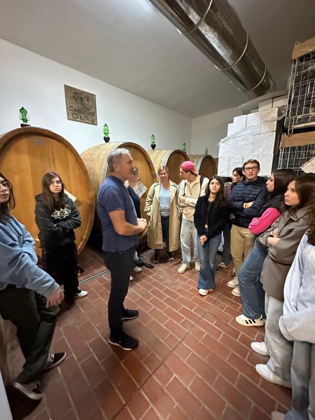 Settimana Erasmus al liceo d'Ovidio, accolti 15 studenti tedeschi