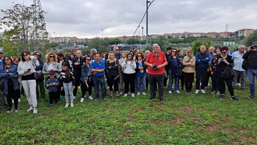 Camminata tra gli olivi 