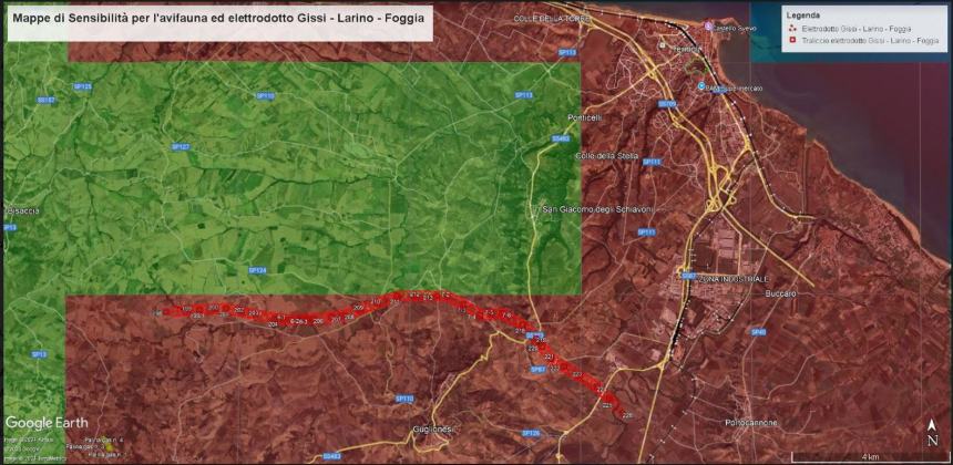 La tutela dell'avifauna nell'insediamento dei parchi eolici