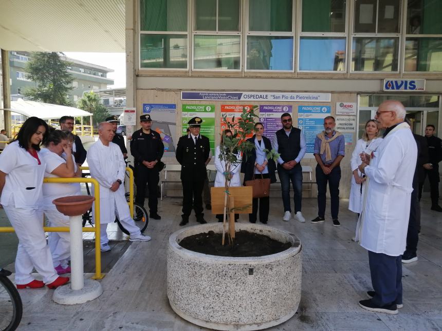 L'albero della salute donato al San Pio: “Ce ne prenderemo cura come con i nostri pazienti”