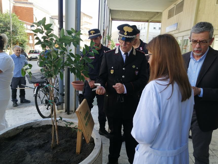 L'albero della salute donato al San Pio: “Ce ne prenderemo cura come con i nostri pazienti”