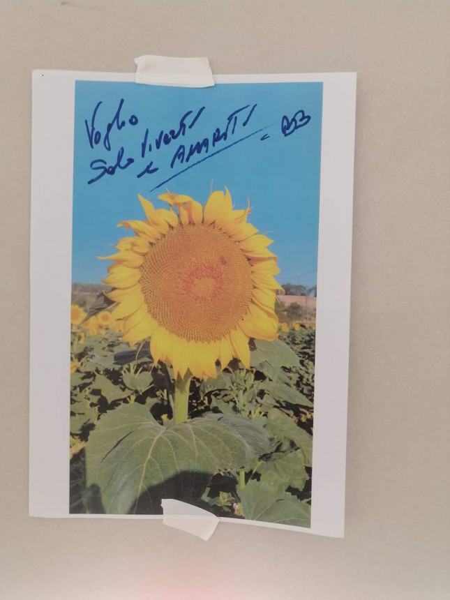 Messaggi d'amore e girasoli spuntano all'interno della stazione Vasto-San Salvo 