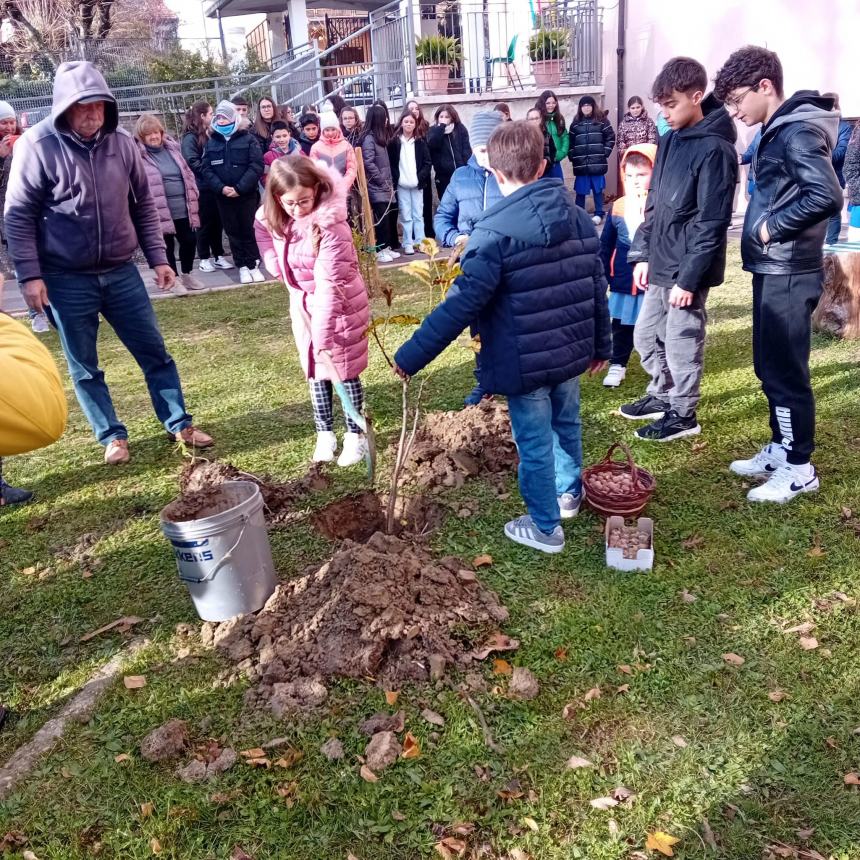 Anche a Roccaspinalveti pianto un albero di noce per Giornata Nazionale degli Alberi