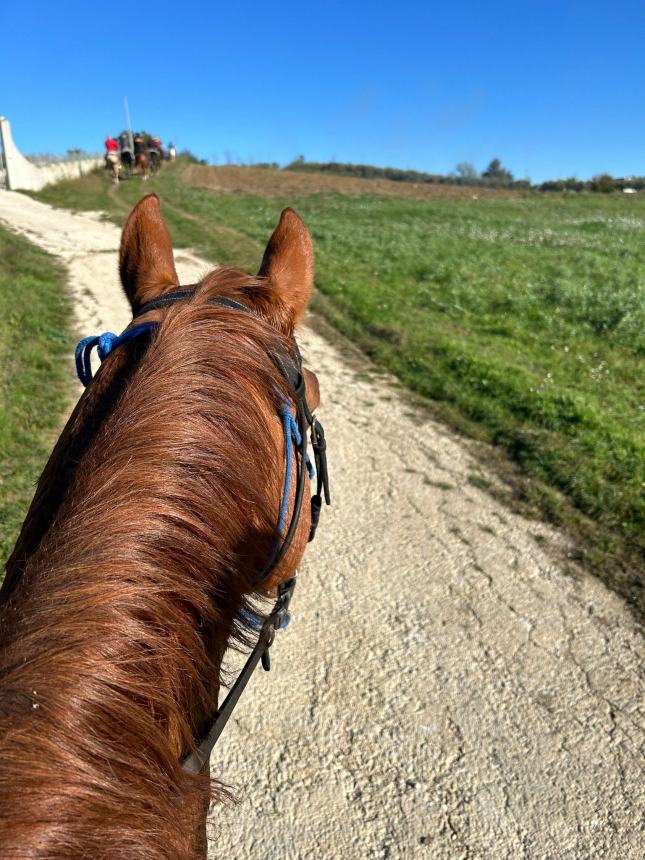 Grande successo per la quarta edizione del “Memorial Parduccio”