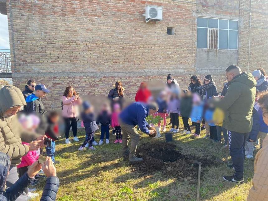 Pianta di castagno e un Luisito per le deiezioni: a Cupello il progetto dell'infanzia Ridolfi