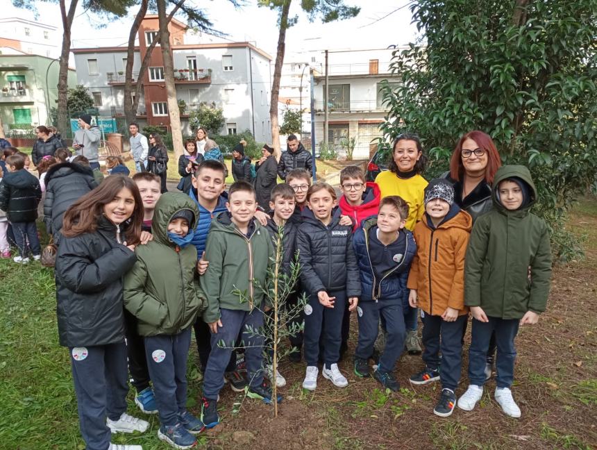 Festa dell’albero: le piantine messe a dimora alle Figlie della Croce formano la scritta “Pace” 