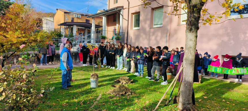 Anche a Roccaspinalveti pianto un albero di noce per Giornata Nazionale degli Alberi