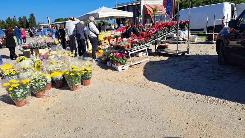 Al cimitero di Termoli nella ricorrenza di inizio novembre 