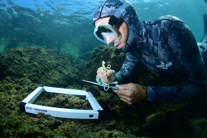 I tesori archeologici sommersi nel mare delle Tremiti