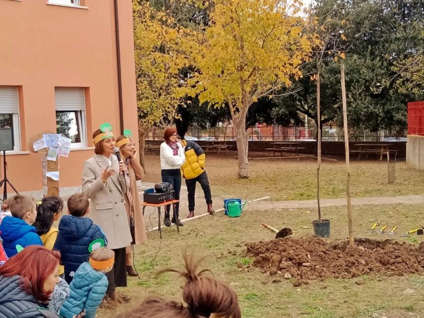 Festa dell'albero, le scuole vastesi piantano giovani piante