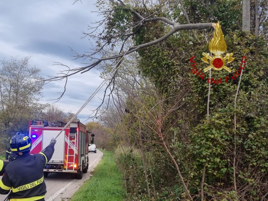 Vigili del fuoco impegnati a causa del forte vento 