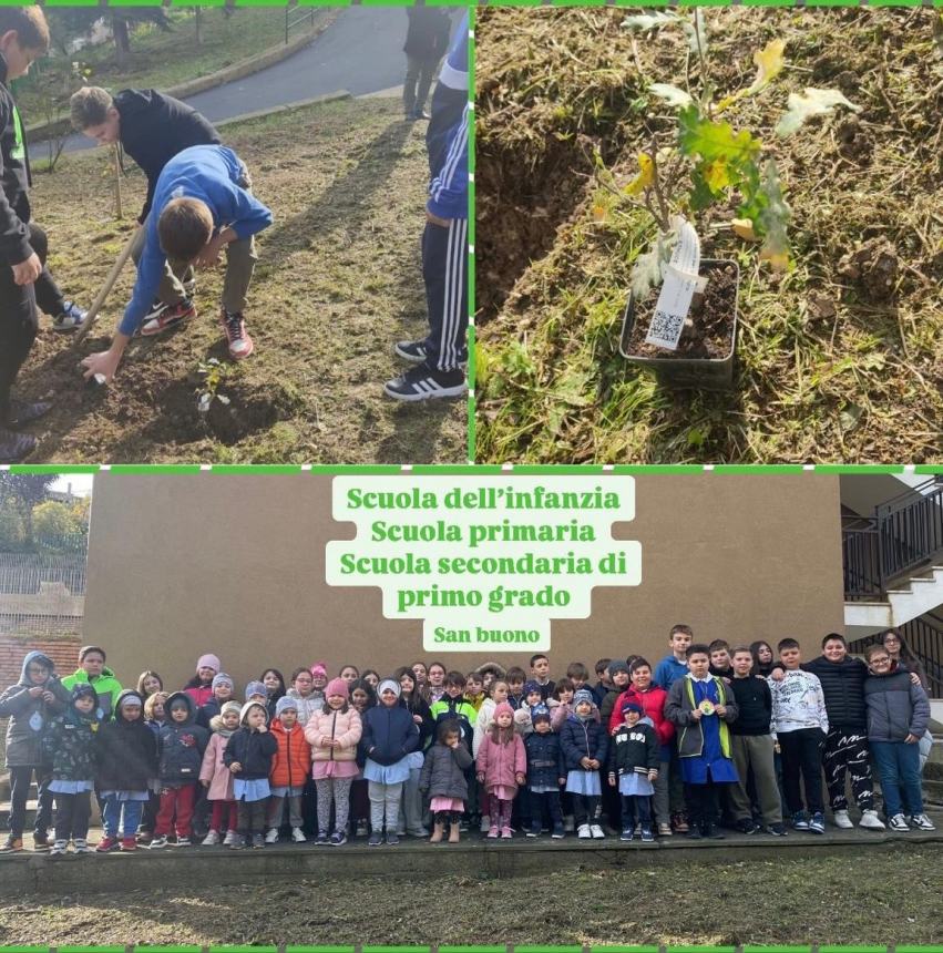 Festa dell’albero: ecco le iniziative delle scuole del Vastese