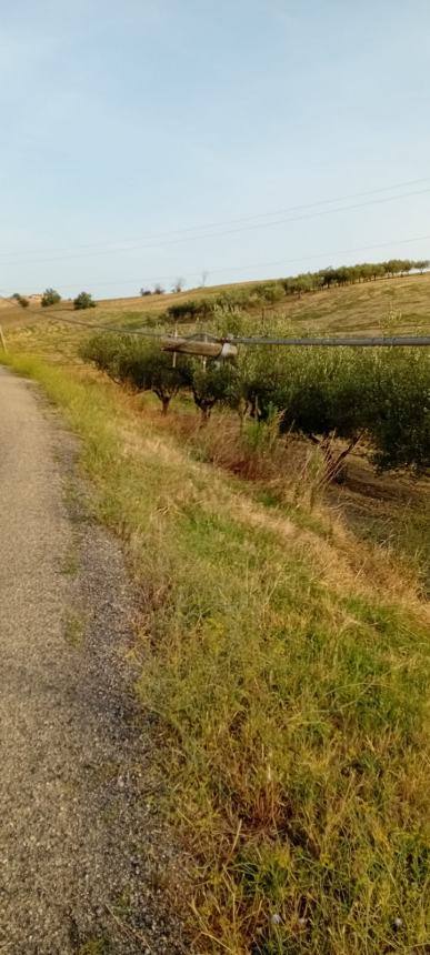 "A Gissi pali telefonici pericolanti e cavi a penzoloni, situazione di potenziale pericolo"