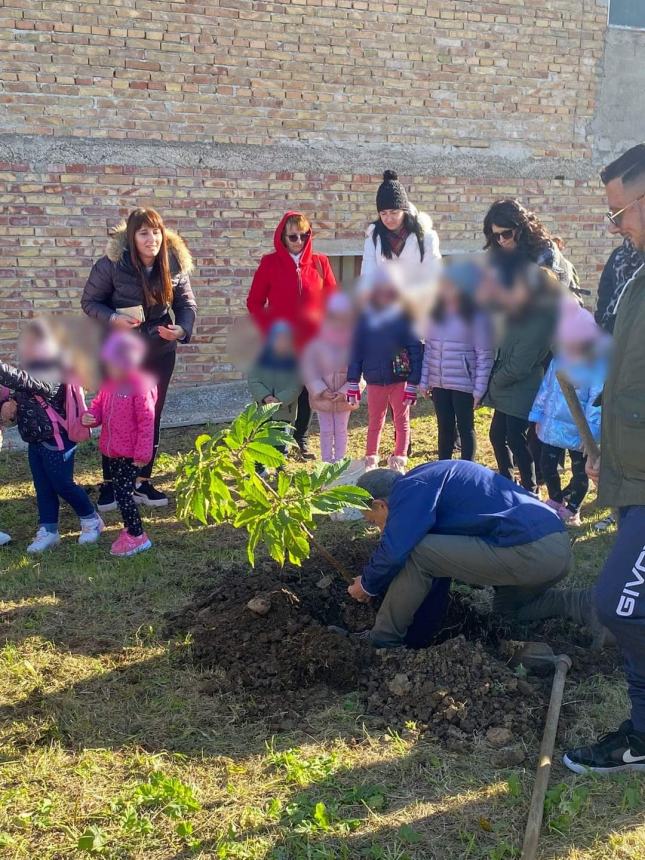 Pianta di castagno e un Luisito per le deiezioni: a Cupello il progetto dell'infanzia Ridolfi