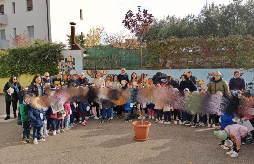 Festa dell'albero: "La scuola è il miglior terreno fertile per seminare valori virtuosi"