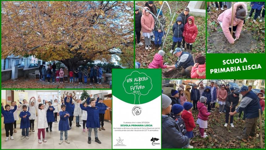 Festa dell’albero: ecco le iniziative delle scuole del Vastese