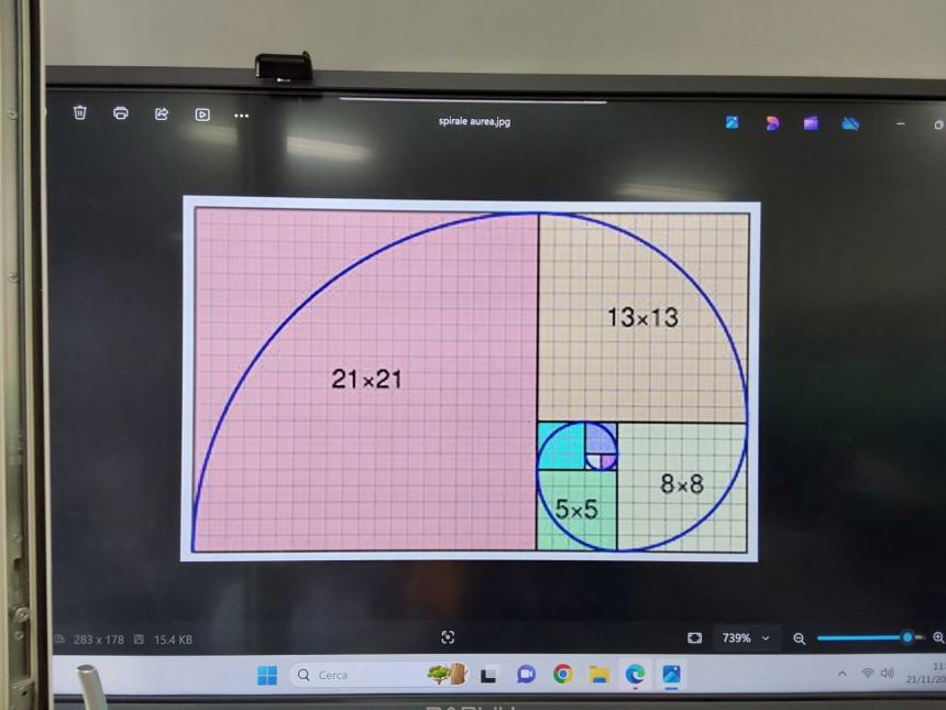 Al Comprensivo 1 di Vasto si festeggia il Fibonacci Day