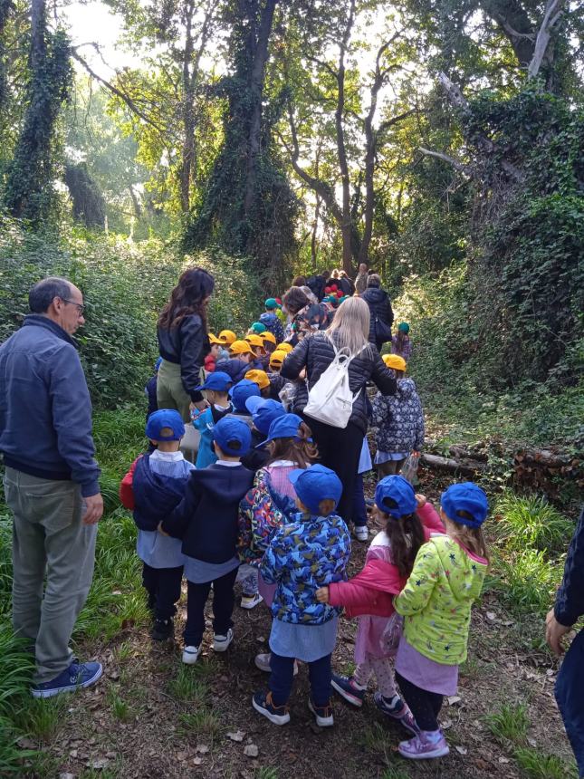 “Esplorando: fuori c’è una bellissima scuola”, bimbi della "Agazzi" al bosco Fantine