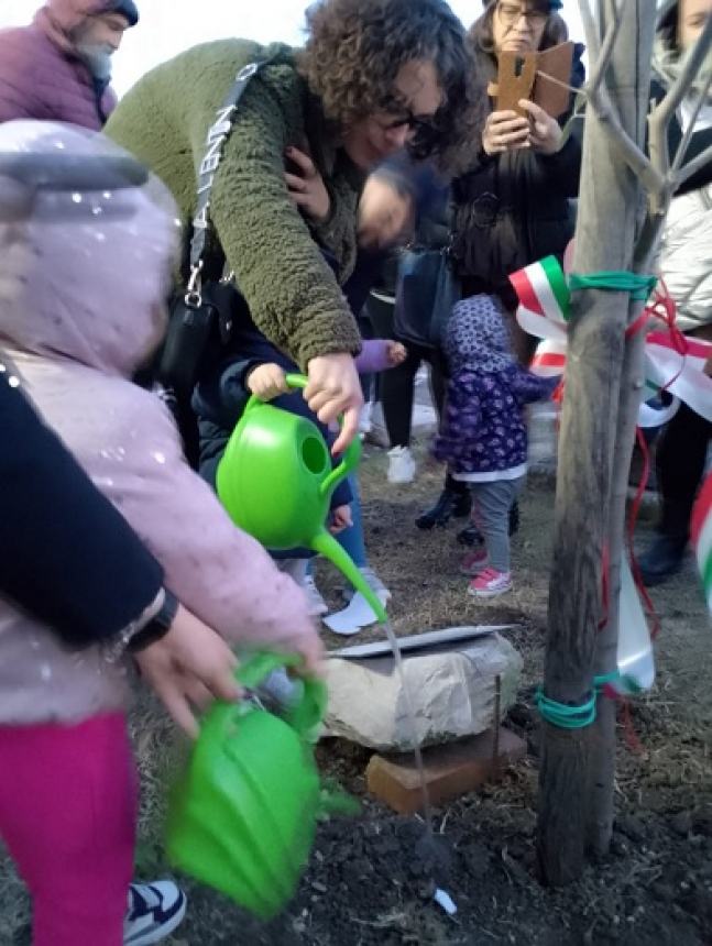 “Chi pianta un albero, pianta una speranza”, a Casalbordino la Festa dell’Albero della Pro Loco