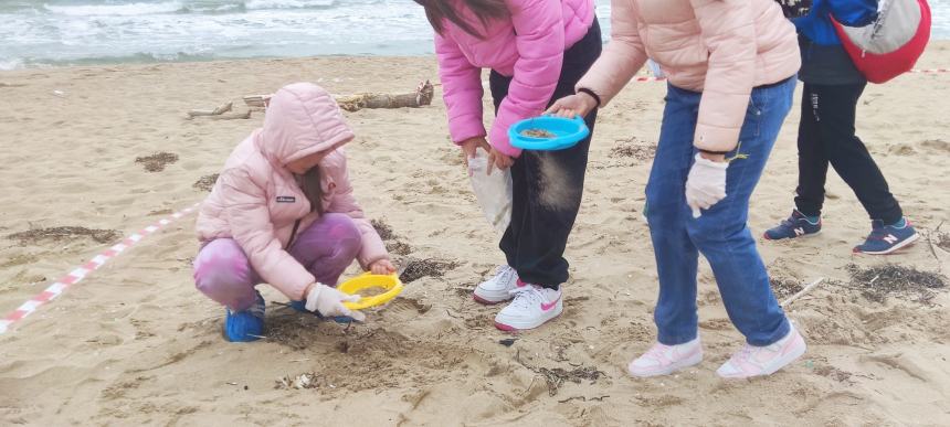 "Connettersi con la natura": escursione entusiasmante sulle dune del litorale Nord