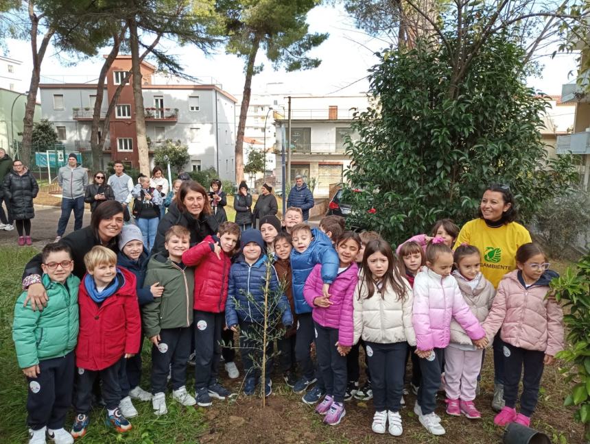 Festa dell’albero: le piantine messe a dimora alle Figlie della Croce formano la scritta “Pace” 