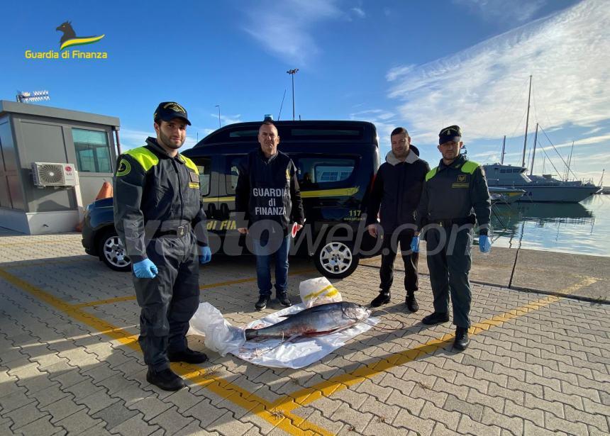 Sequestrato tonno rosso dalla Gdf, era stato pescato di frodo