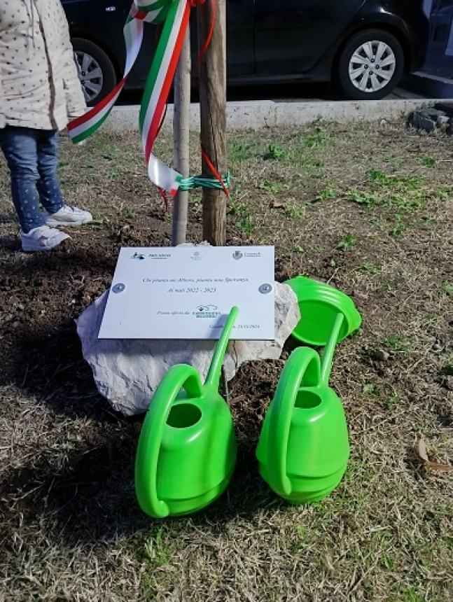 “Chi pianta un albero, pianta una speranza”, a Casalbordino la Festa dell’Albero della Pro Loco