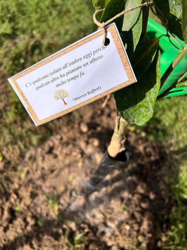 Ambiente: le scuole di Scerni celebrano la “Festa dell’albero”