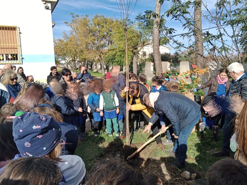 Festa dell'albero: "La scuola è il miglior terreno fertile per seminare valori virtuosi"