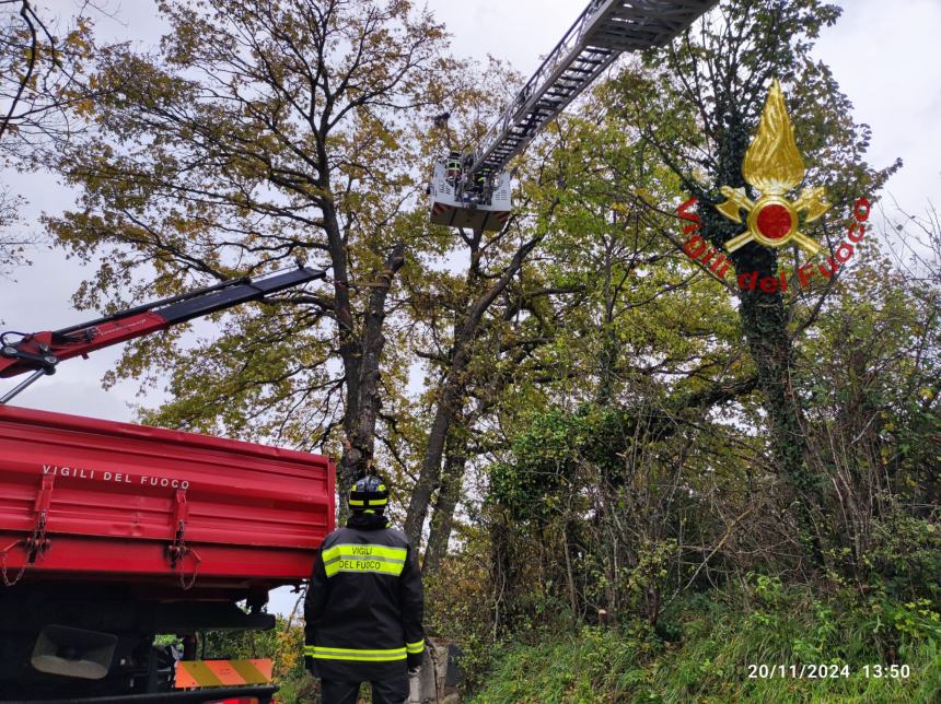 Vigili del fuoco impegnati a causa del forte vento 