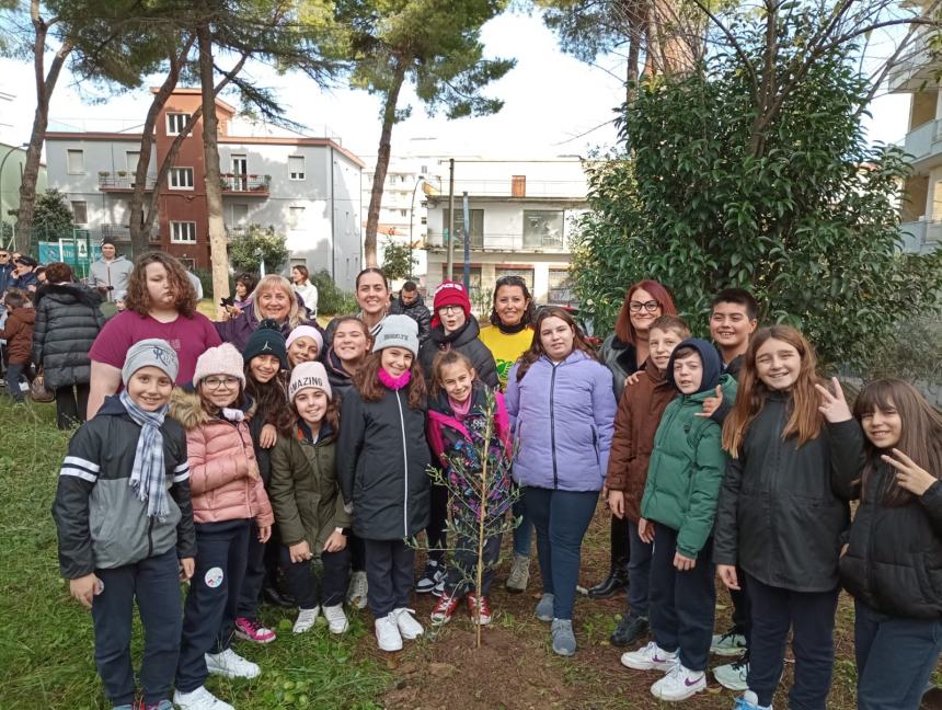 Festa dell’albero: le piantine messe a dimora alle Figlie della Croce formano la scritta “Pace” 